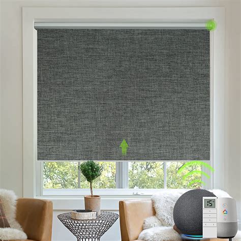 Chanelle's Window Blinds.